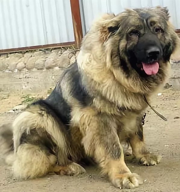 Bild laden 3337_MISTERIYAREMOGYURZA.jpg